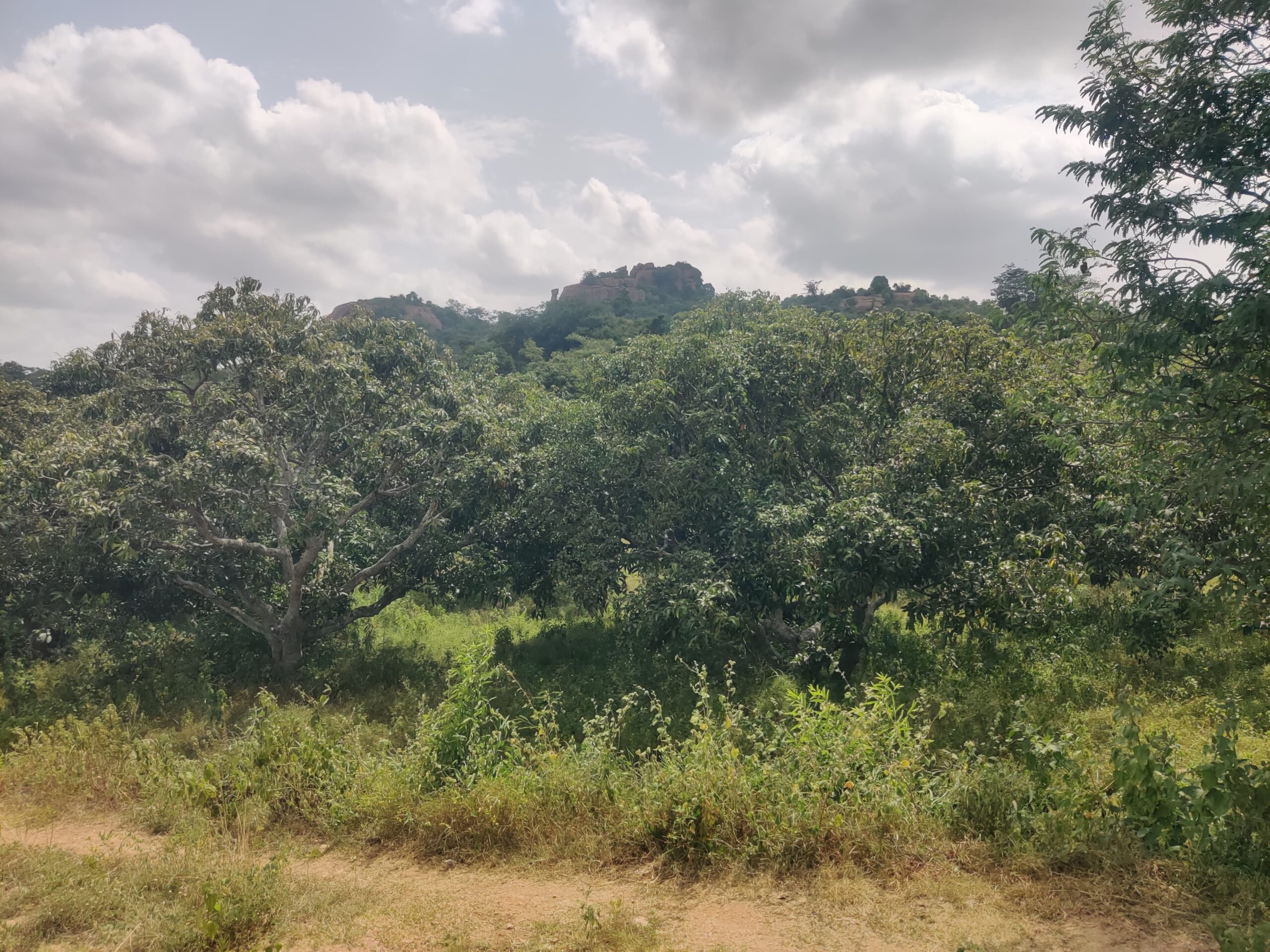 IMG-20250726-WA0060